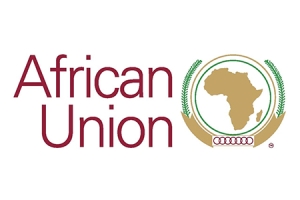 زيادة عدد الوظائف المخصصة لمصر داخل الاتحاد الإفريقي