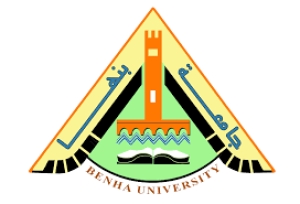 الدورات التدريبية للسادةأعضاء هيئة التدريس والهيئة المعاونةبمركز القياس والتقويم بجامعة بنها لشهر مايو ٢٠٢٥م